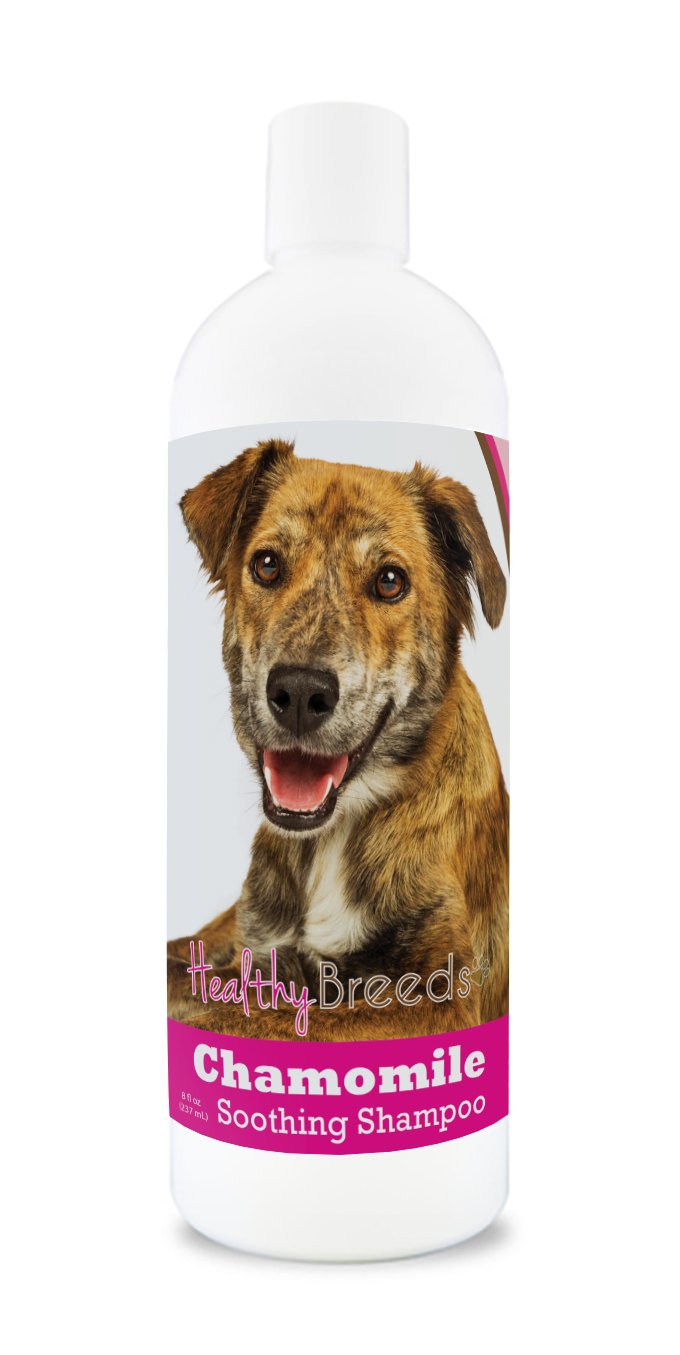 Healthy Breeds Yorkshire Terrier Chamomile Soothing Dog Shampoo 8 oz — view 22