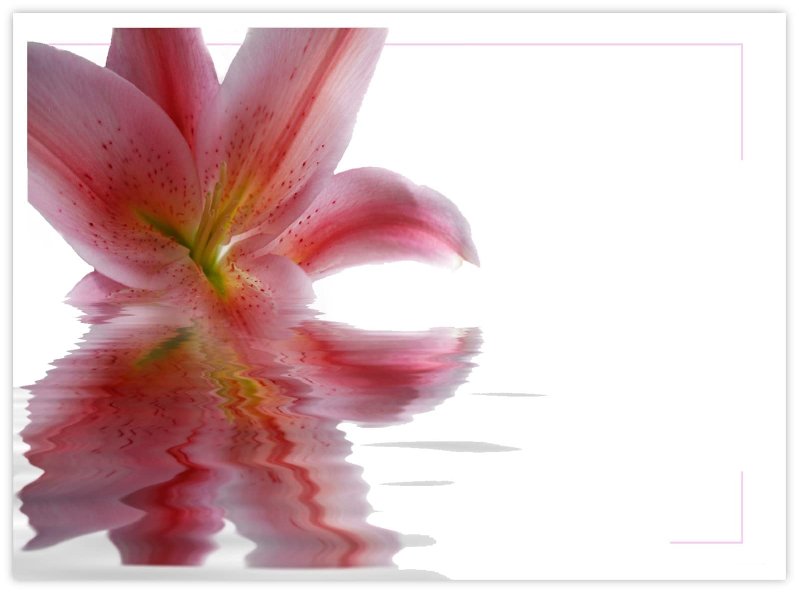 celloexpress Blank (Pink Lily Reflection) Flower Message Cards - 90mm x 125mm - Blank Florist Card Gift Notes (Pack of 24) — image 1