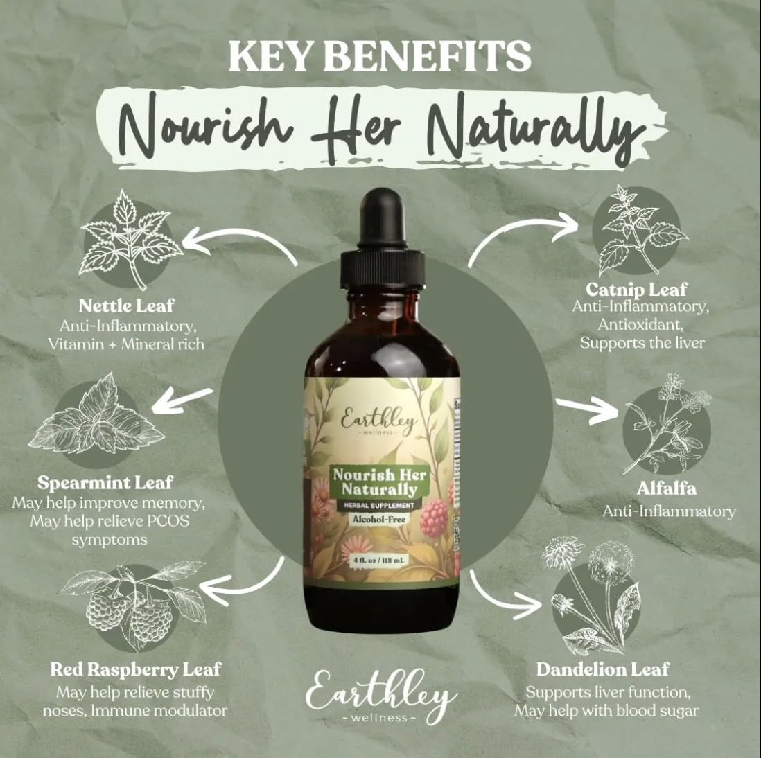 Earthley Wellness Nourish Her Naturally, Liquid Botanical Multivitamin for Women with Raspberry Leaf, Dandelion Leaf, Alfalfa, and Nettles, Supports Energy, Gut Health, and Wellness (4oz, Nourish Her) — Amazon image 3