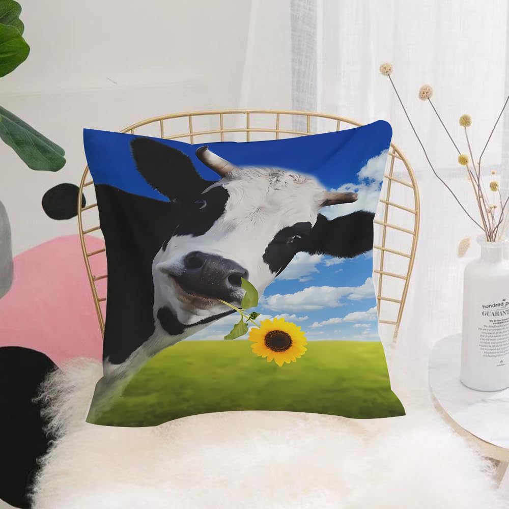 HYMSXW Cushion Cover,Throw Pillow Case Home Decorative for Living Room Bedroom Sofa Chair 20X20 Inch,with flower in muzzle. Beautiful flower ows of central Switzerland and blue sky,Pillowcase 50X50cm