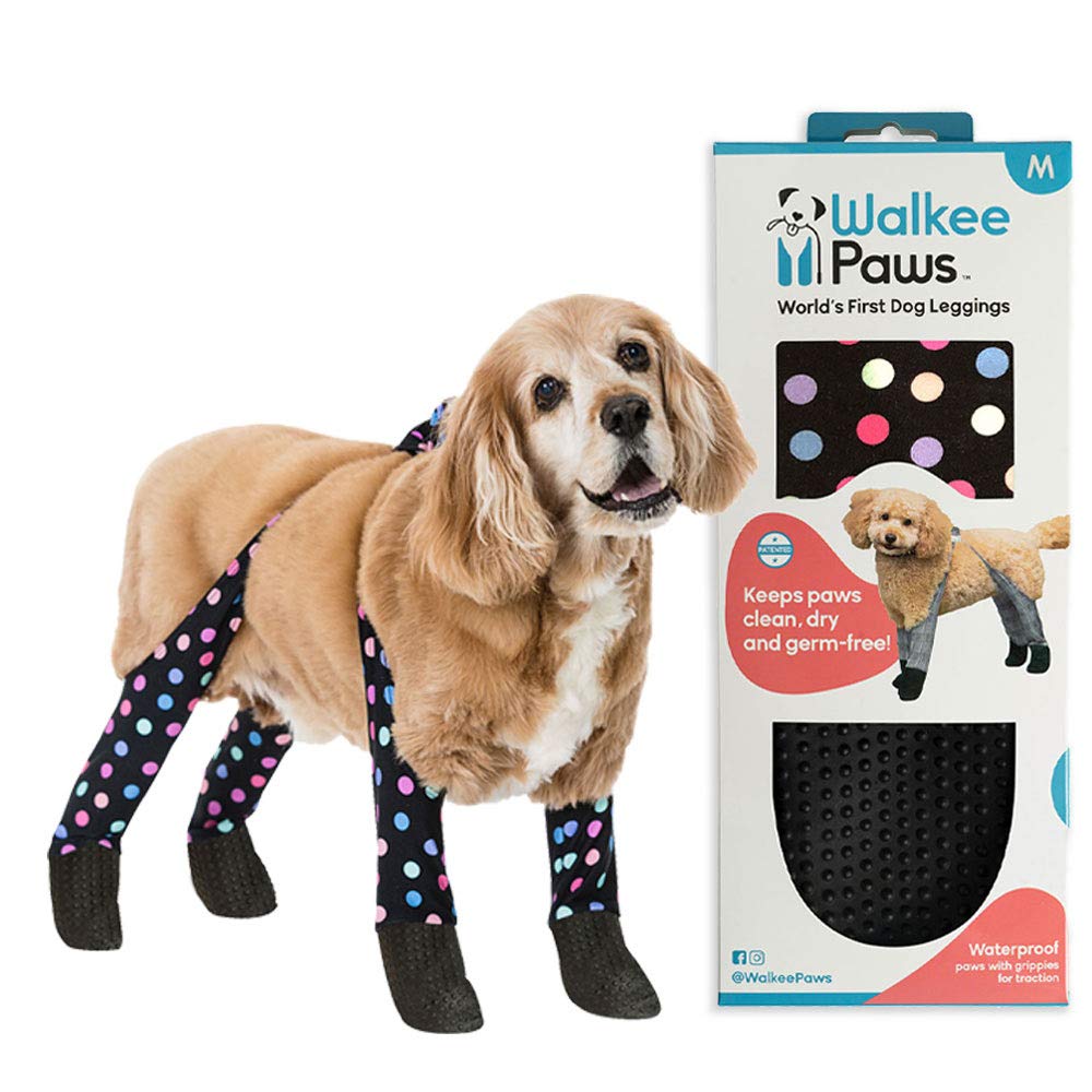 easy stop retractable leash