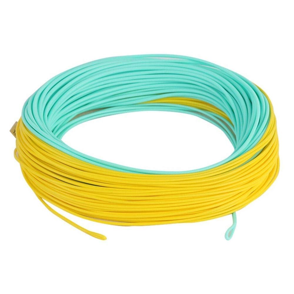 FINE MEN WYX-DYX, 8/9/10WT Weight Forward General Purpose Saltwater Fly Line with Welded Loops (Color : with Box and Spool, Line Number : 9WT)