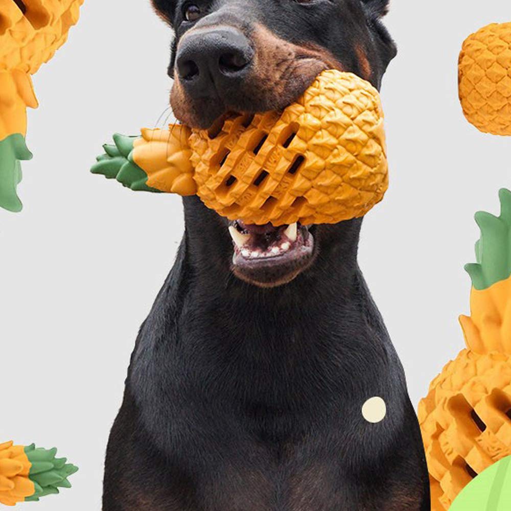 犬用【パイナップル】おもちゃ 2個セット 大型犬 71O60i1UeSL._UF350,350_QL50_.jpg