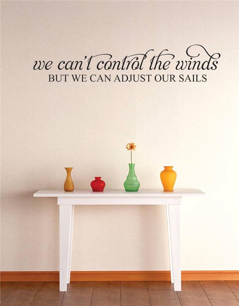 Design with Vinyl 3 C 2252 We Can't Control The Winds But We Can Control Our Sails Image Quote Wall Decal Sticker, 20 x 40-Inch, Black