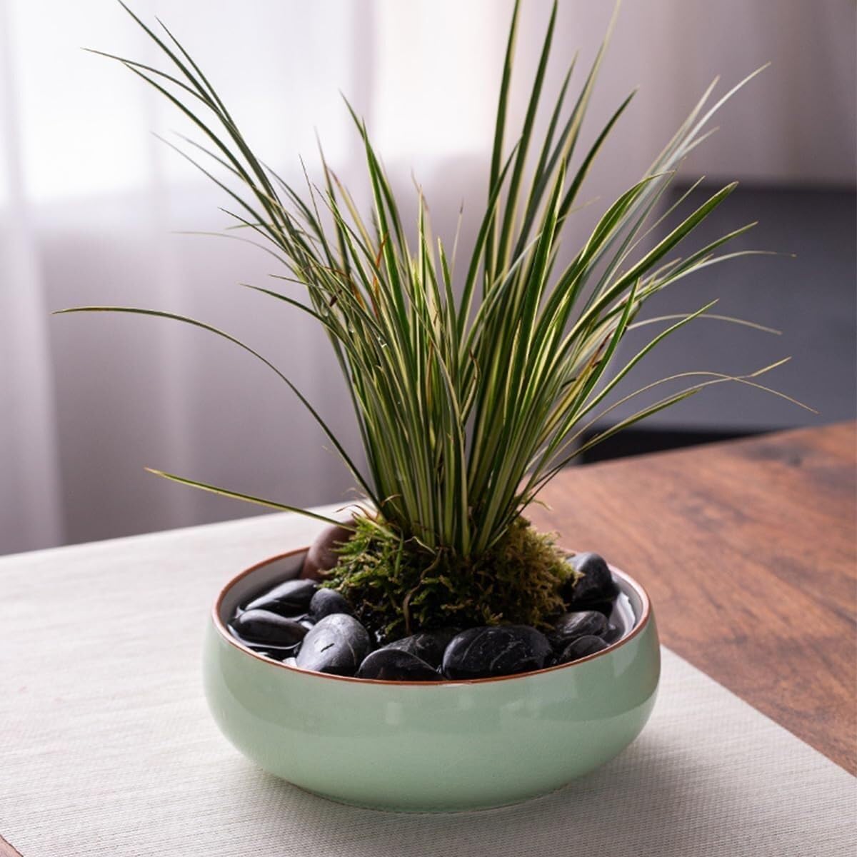 Pot de fleurs en céramique pour culture hydroponique, pot d'intérieur pour plantation d'eau, bonsaï et graines de lotus, idéal pour la décoration de la maison