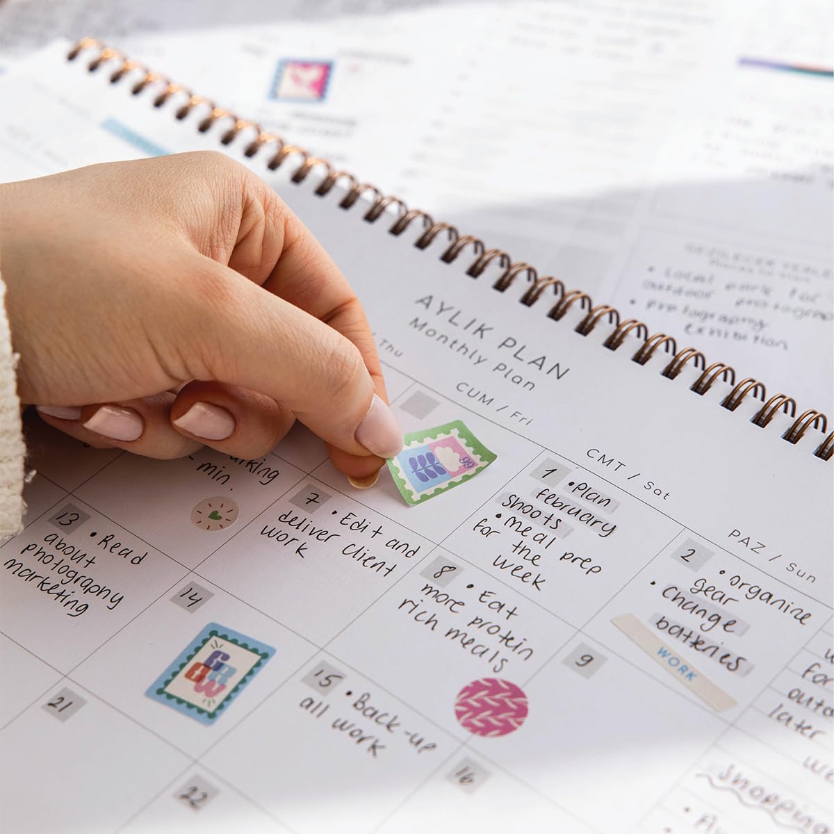 PAPERORA Süresiz Haftalık Spiralli Masaüstü Planlayıcı 24x34 cm - Desk Planner Pembe