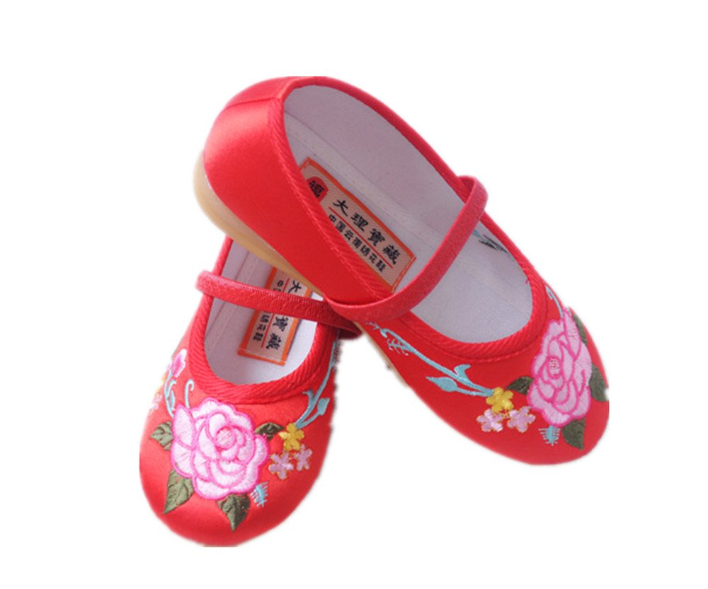 Tianrui Crown Children Girl's Flower Embroidery Loafer Shoes Kid's Cute Flat Dance Shoe
