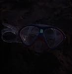 Review Image by Anai Ramirez Anai Ramirez