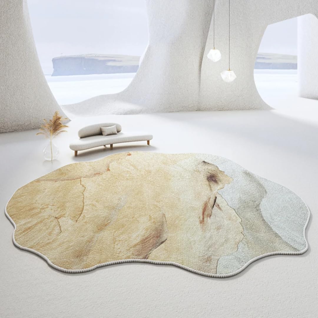 Tapis de chambre épais antidérapant pour réchauffer les sols froids avec douceur 80x160