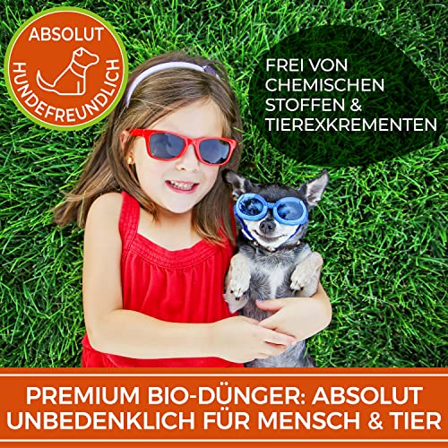 Rasendünger Natureflow Sommer 20 kg