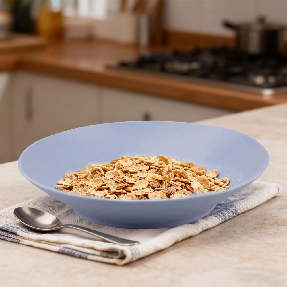 Set di 5 Piatti Colorati Plastica Riutilizzabile Piatti da Pasta Servizio 22,5x4 cm Set di Piatti per Insalata, Pasta, Bistecche