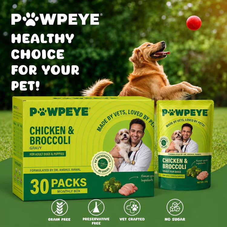 Pawpeye Wet Dog Food Monthly Box-Chicken & Broccoli Flavour | 30 Packs x 100g, 3Kgs | for Adult Dogs & Puppies | Vet-Formulated, Human-Grade, Grain & Preservative-Free, 100% Natural 1