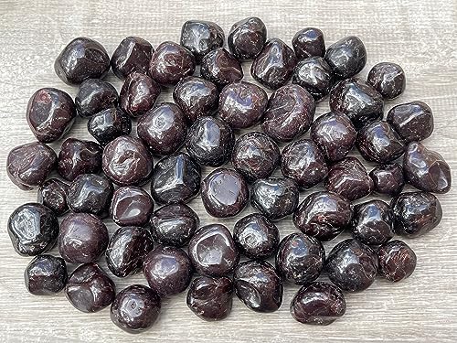 Image of GAF TREASURES 1 /2 LB Garnet Tumbled Stones, Polished Garnet Gemstone, Garnet Healing Crystals (Garnet)