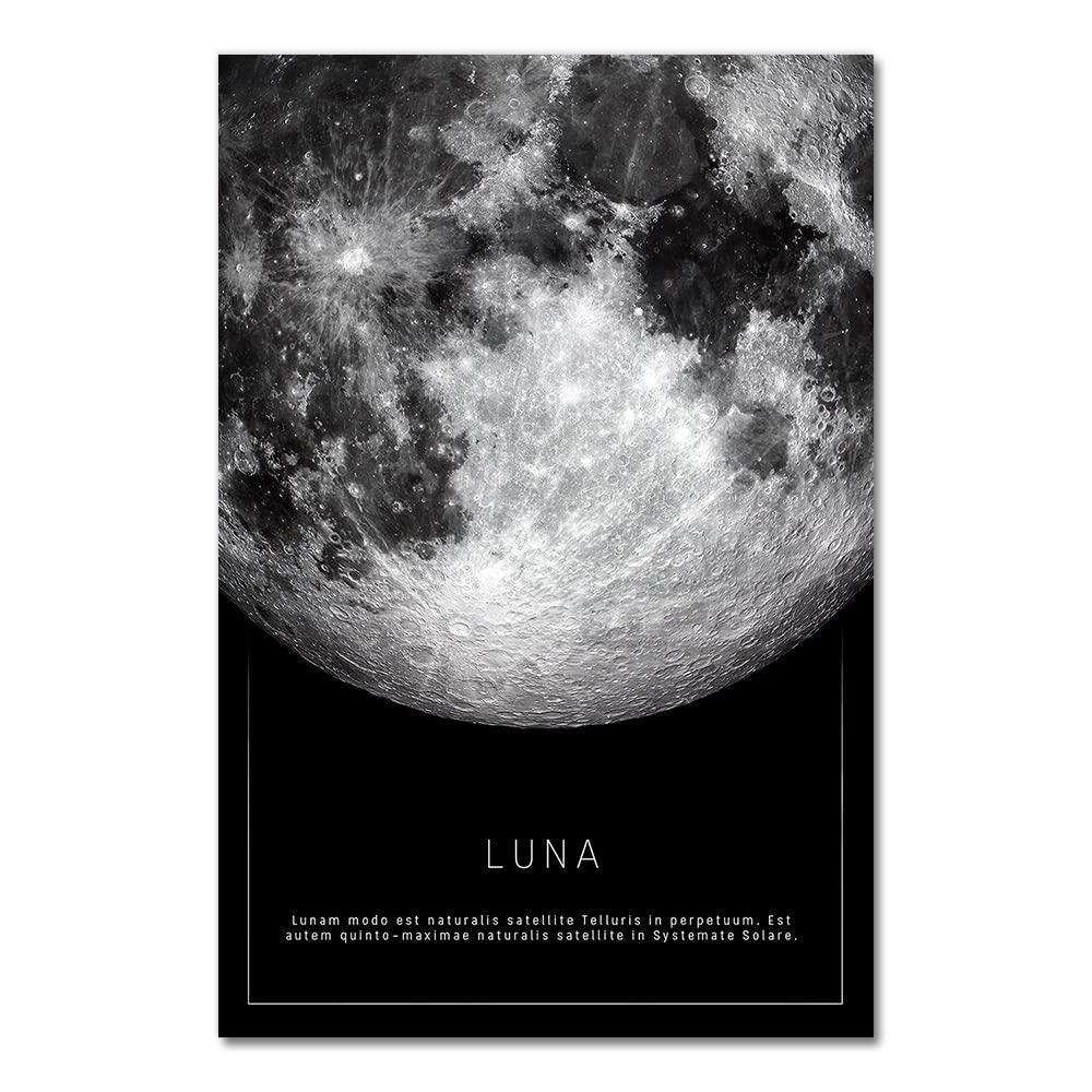 Amazon.co.jp: luose キャンバス 絵画 白黒ポスター 月 地球