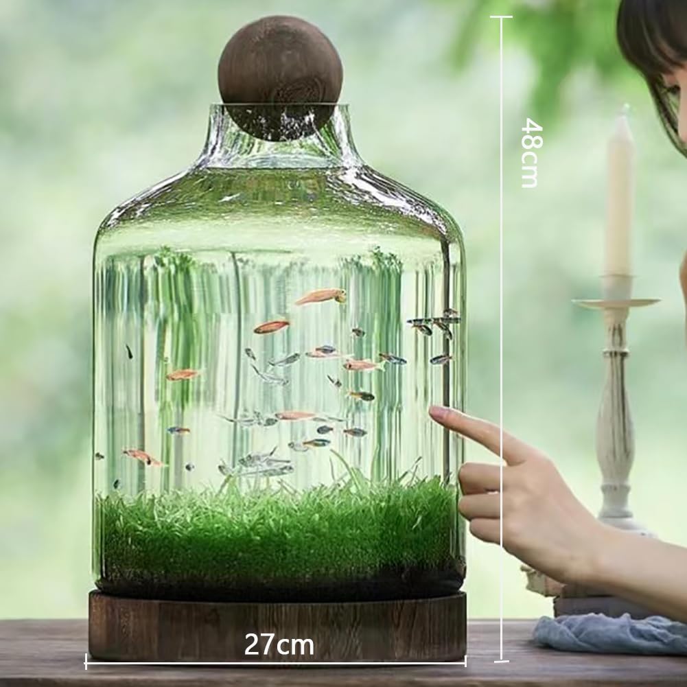 水培養ガラス吊り瓶微景観エコボトル鉄棚オフィス家庭用ヨーロッパ式天板小水槽 水培養ガラス吊り瓶微景観エコボトル鉄棚オフィス家庭用