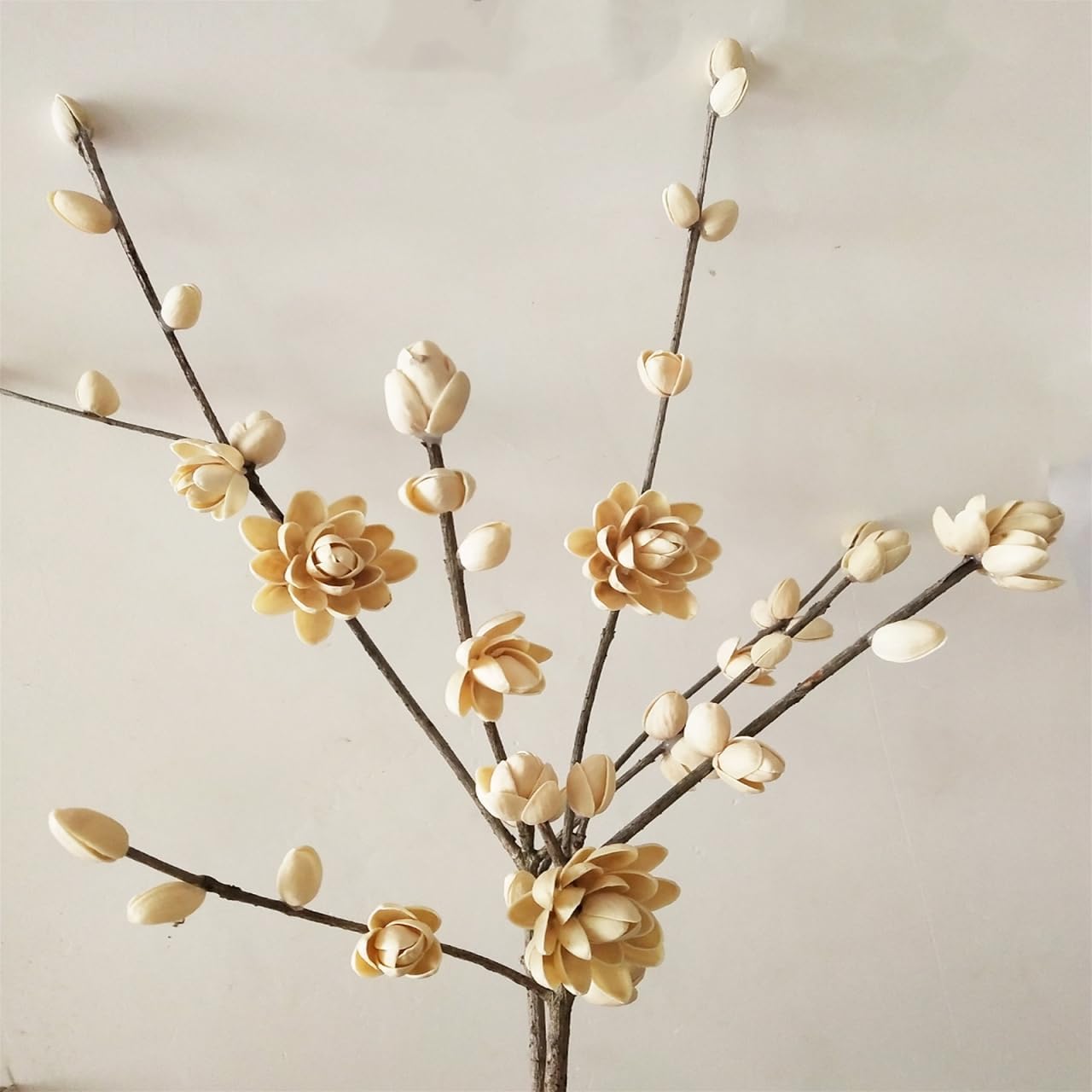 Milisten DIY Craft Accessories 1 Bag of Small Pistachio Shells for Crafts Home Decoration Wedding Decor Handicraft Material DIY Accessories (500g) Pistachios, 0.78X0.59In