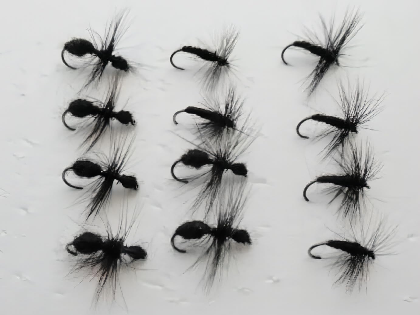 12 BARBLESS Dry Flies - Black Spider and Black Ant, Barbless Dry Trout Flies, Choice of sizes (14)