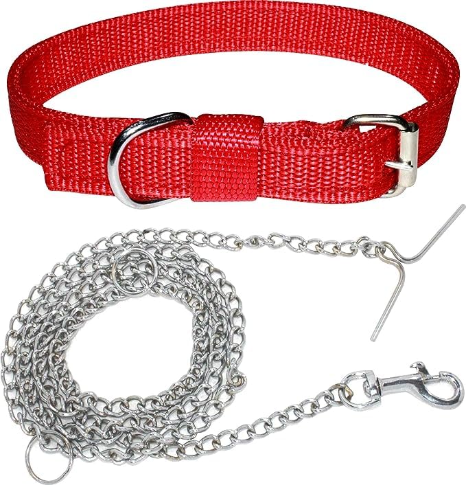 SR VISION Pet Combo 3/4 Inch Width Collar Belt and Stainless Steel Chain Leash, Specially for Small & Medium Dogs (Weight Upto 10-20 kg) - Red