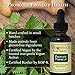 Woodstock Herbal Products Prostate Formula, 1 FZ