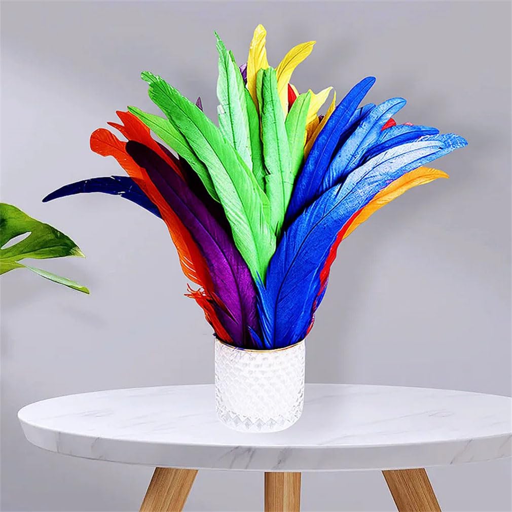 Lot de 100 plumes de coq 25-45 cm pour travaux manuels, couture, vêtements, fête, femme, accessoires de mariage