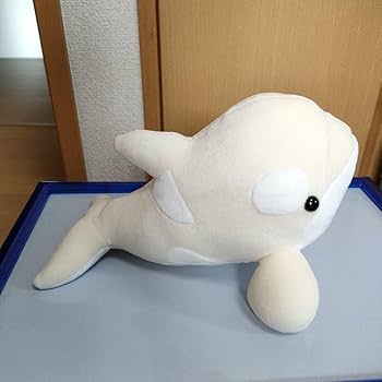 Amazon.co.jp: 名古屋港水族館 限定 白シャチぬいぐるみ 3等
