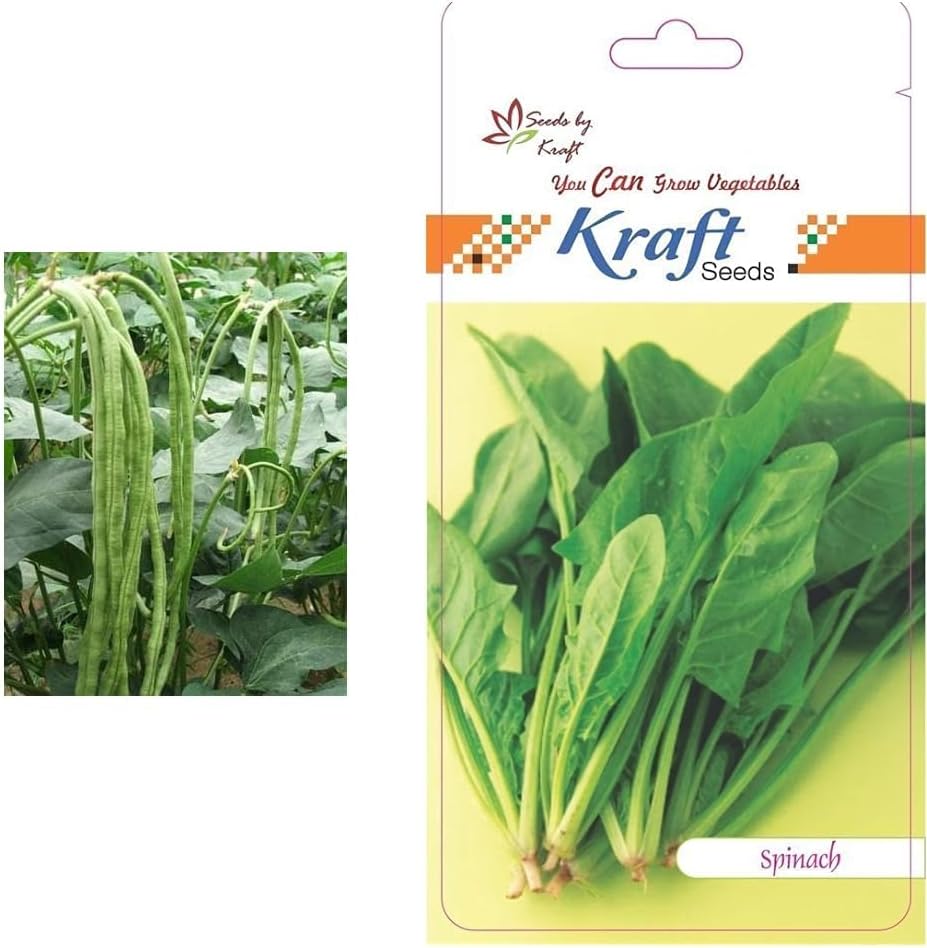 Kraft Seeds Long Yard Bean Vegetable Seeds by Kraft Seeds & Kraft Seeds Vegetable Spinach Seeds for Home Garden (1 Packet, 6gm)