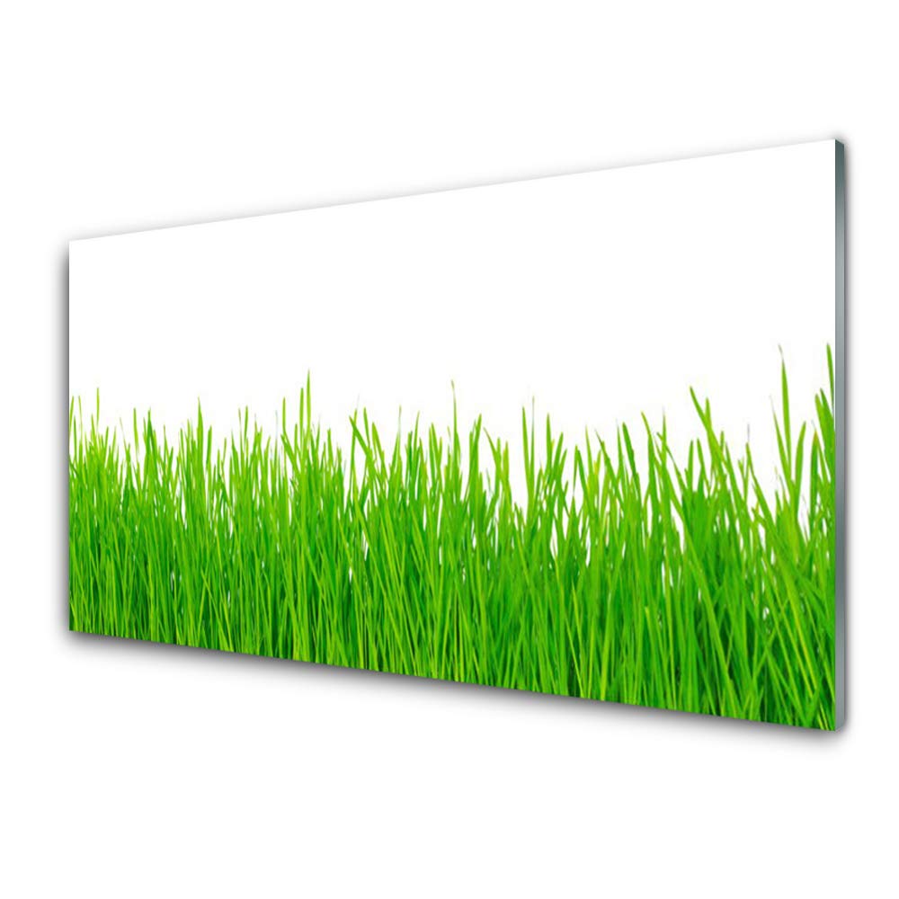 Impression sur verre acrylique 100x50 cm Tulup | Tableau mural nature