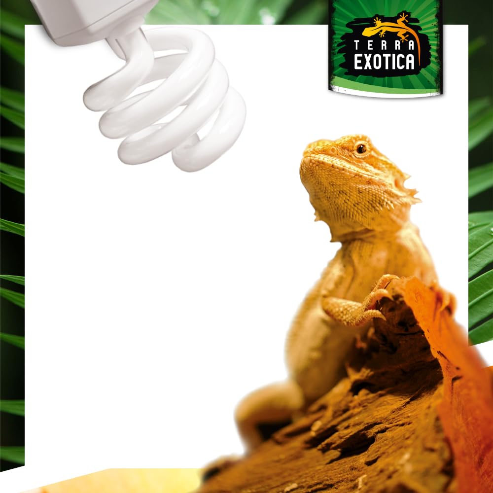 Terra Exotica Compact Desert 10.0 UVB Lampe - Auswahl zwischen 2.0, 5.0, 8.0 und 10.0 UVB Lampen für Ihr Terrarium - Ideal für Reptilien aus Wüsten und Steppen z.B Bartagamen und Nager