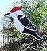 Handmade Stained Glass Woodpecker Sun Catcher Window Decor
