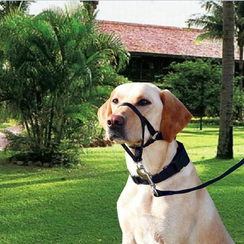 Voarge Dog Muzzle, Dog Head Collar with Safety Strap, Head Halter Collar for Dogs Adjustable and Easily Control - Image 3