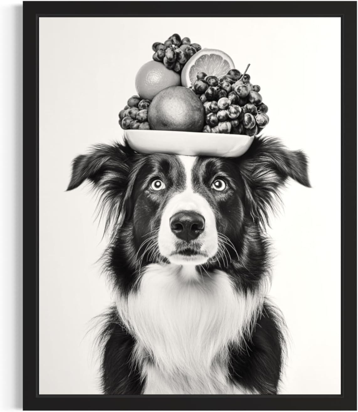Boston Terrier with Fruit Bowl Kitchen Wall Art Print Poster, Black and White Dog Dining Room Chef Farmhouse Food Painting 225 (Boston Terrier with Fruit Bowl, 18 x 24 inches, Unframed)