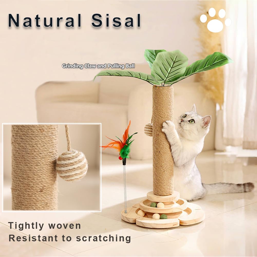 Giocattolo 5 In 1 Per Gatti Marchul - Graffiatoio, Palla, Piuma E Massaggiatore - Foto 7