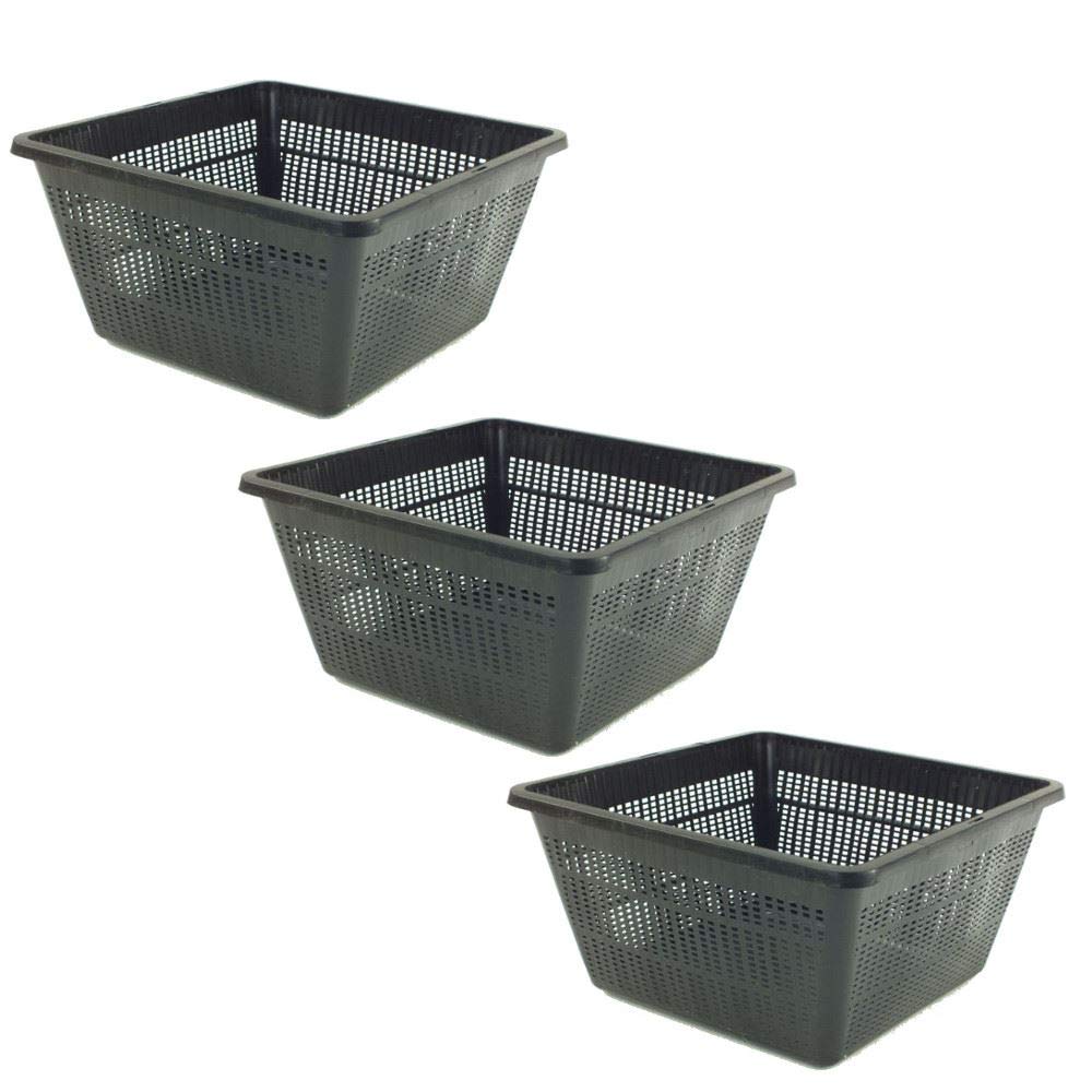 Pisces Black Pond Square Plant Basket 23 X 23 X 13Cm - 3 Pack Of Pond Planting Pot