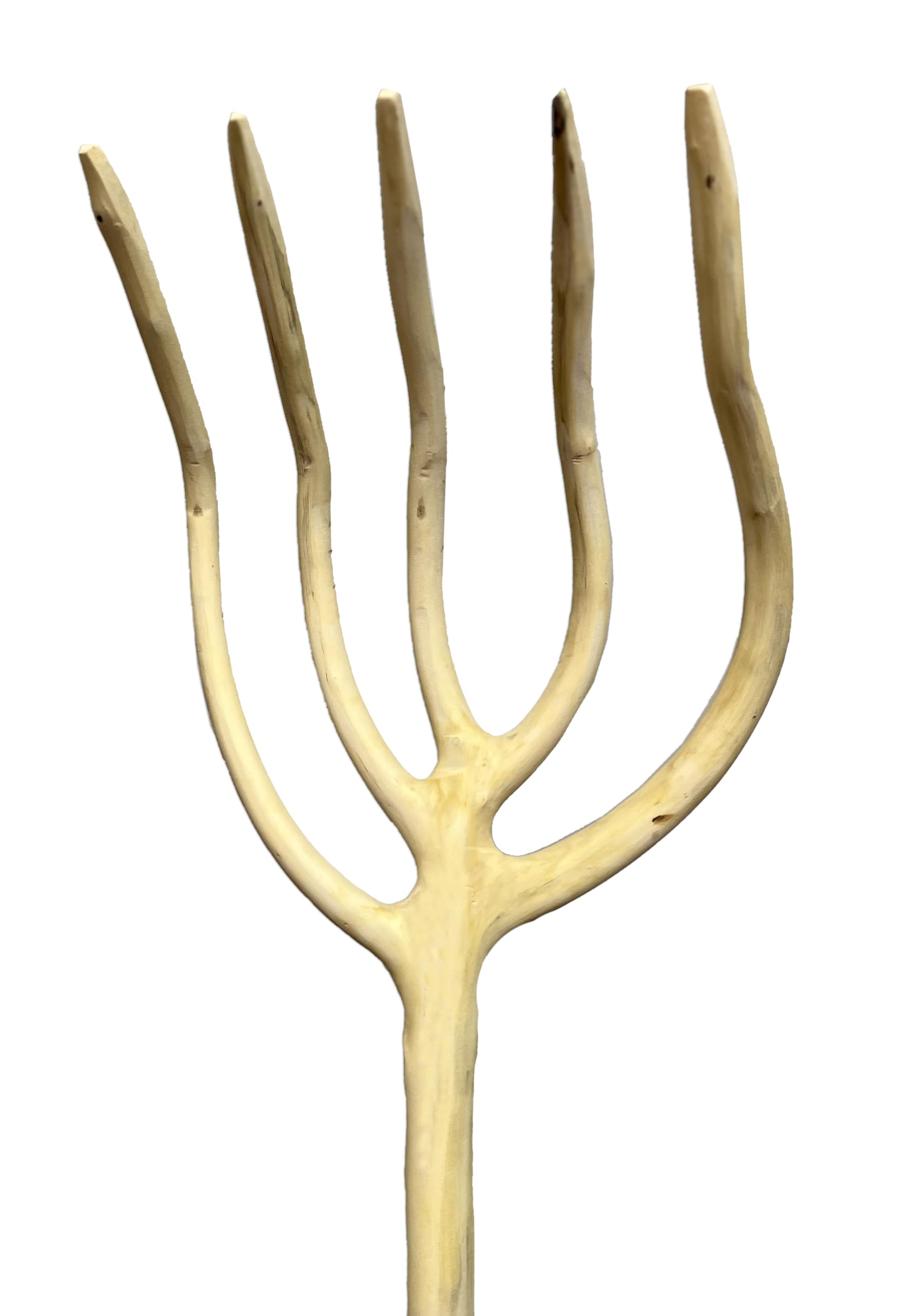 Almez Wood Fork with 5 Tines – Gardening, Agriculture, Hornamental, Decoration, 150 cm Long