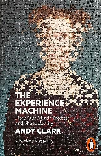 The Experience Machine: How Our Minds Predict and Shape Reality book cover