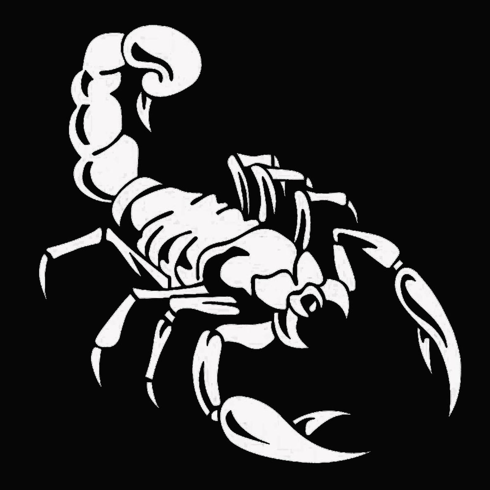 matumou Fashion Scorpion Reflective Car Vehicle Body Hood Window Decals Sticker Decor
