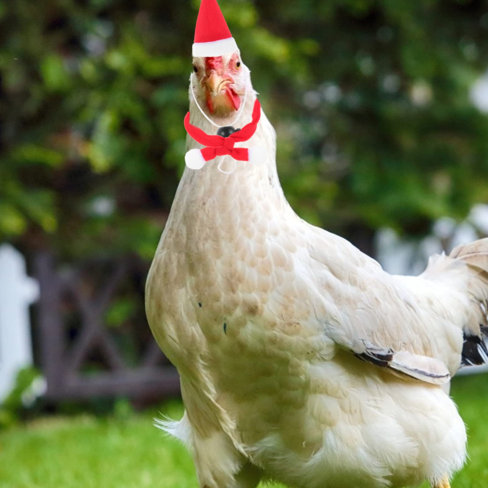 Set 12 Pezzi Cappellini E Sciarpe Di Natale Per Animali Piccoli - Per Galline, Criceti, Pappagalli, Decorazioni Festive
