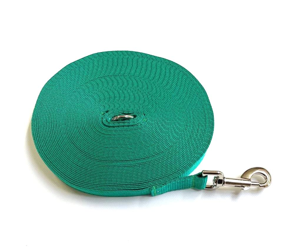Dog Training Lead 50ft 15 Metre Leash Horse Lunge Line Tracking Recall Obedience In 25mm Polypropylene Webbing (Emerald Green)