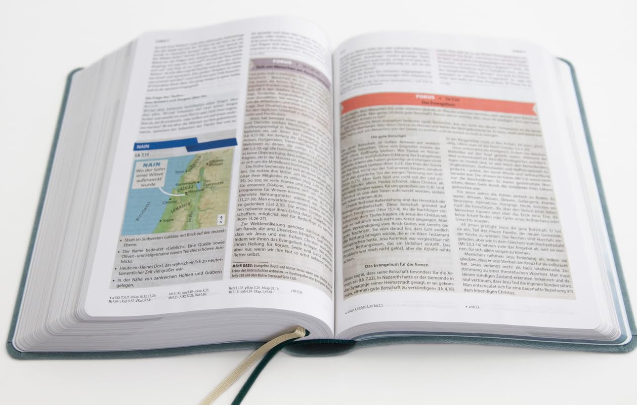 Sein Wort - meine Welt. Kunstlederausgabe: Die Studienbibel für das 21. Jahrhundert (Elberfelder Bibel)