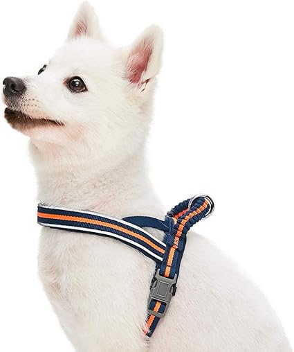 pet harness amazon