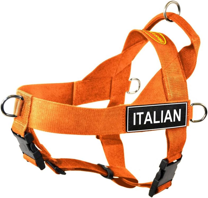 Dean & Tyler DT Universal No Pull Dog Harness with Italian Patches, Orange, Small