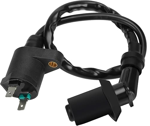 HIAORS Bobina de encendido GY6 para 50cc 70cc 110cc 150cc TaoTao Jonway NQ50 Ruckus Elite50 NPS50 Roketa IceBear BMS Tomberlin Crossfire 150R