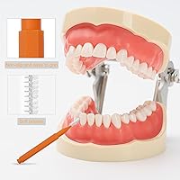 Vista 6 de 100 cepillos interdentales, cepillos interdentales, cepillos dentales, cepillos para limpiador, palillo de dientes, cabezal de hilo dental, hilo