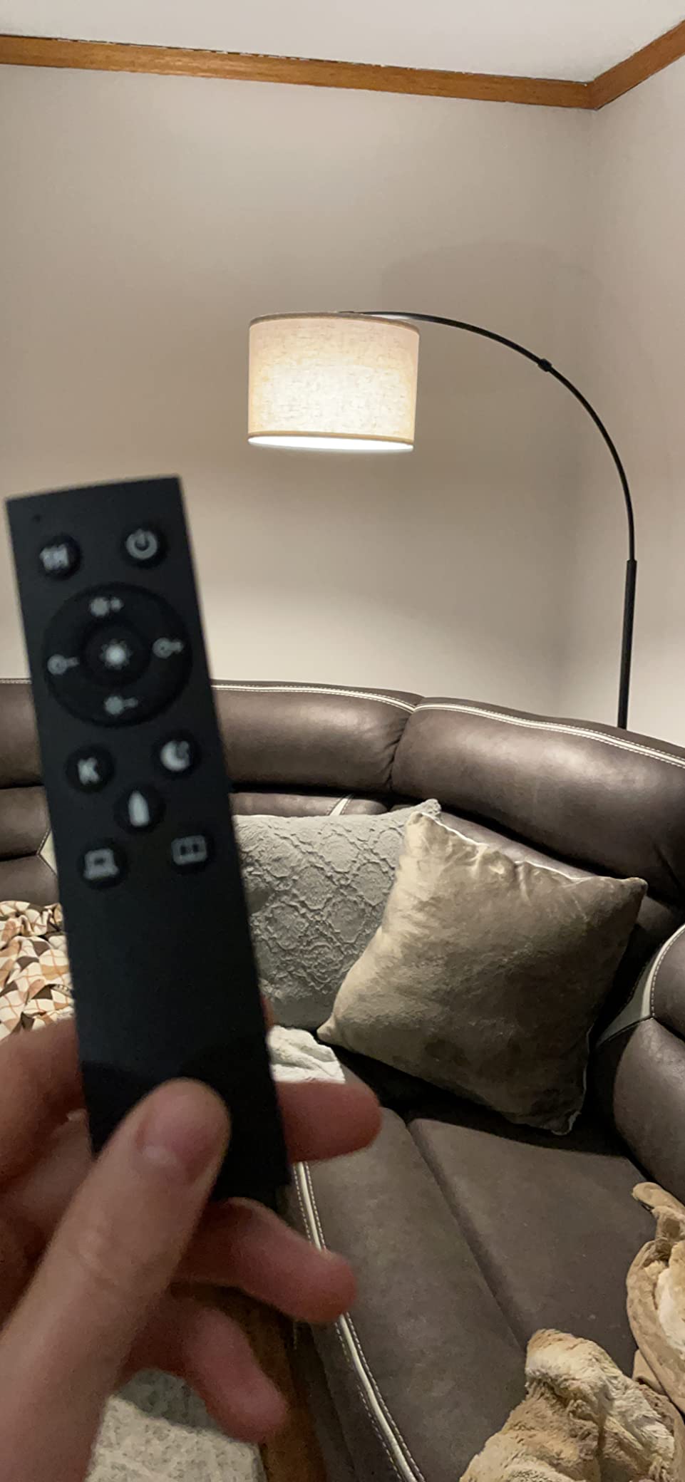 12/mo Finance SUNMORY Arc Floor Lamp with Remote,Modern Floor Lamp