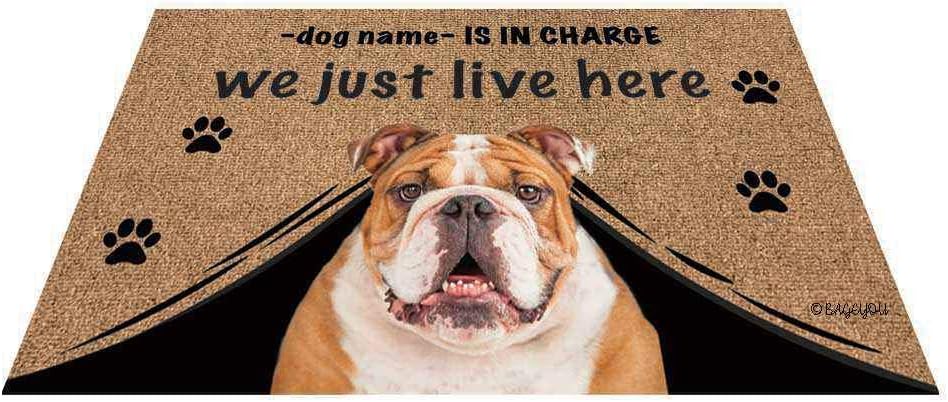 BAGEYOU Personalized Dog's Name Outdoor Doormat with My Love Dog Bulldog Welcome Floor Mat Who is in Charge We Just Live Here 23.6 X 15.7