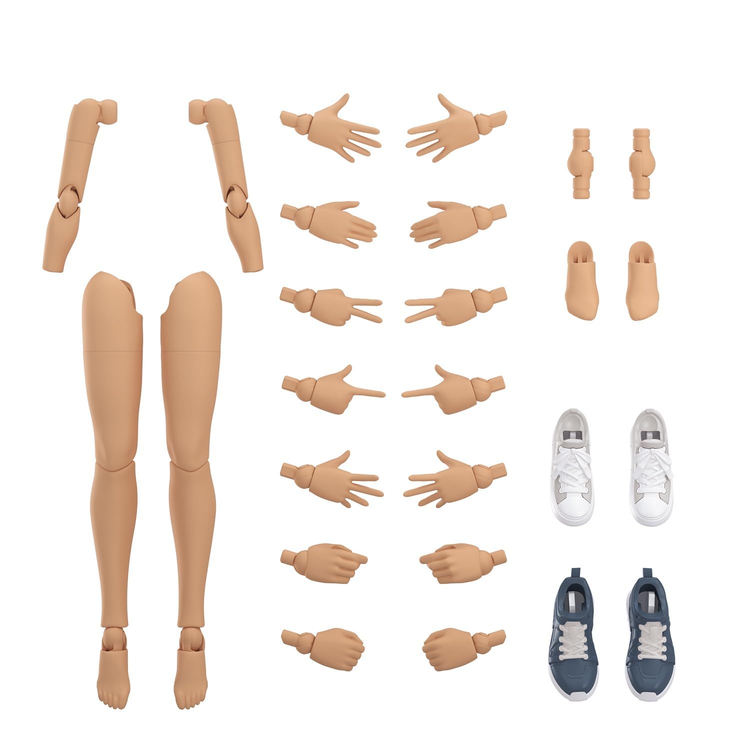 Amazon | BANDAI SPIRITS(バンダイ スピリッツ) 30MS オプションボディ