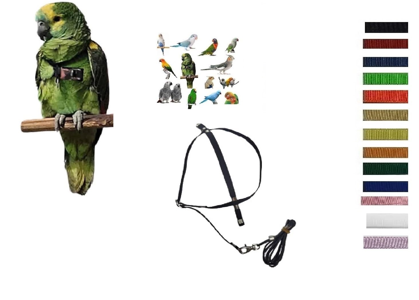 Arnés para loros anti escapes para evitar tirones en amazonas con pechera elástica