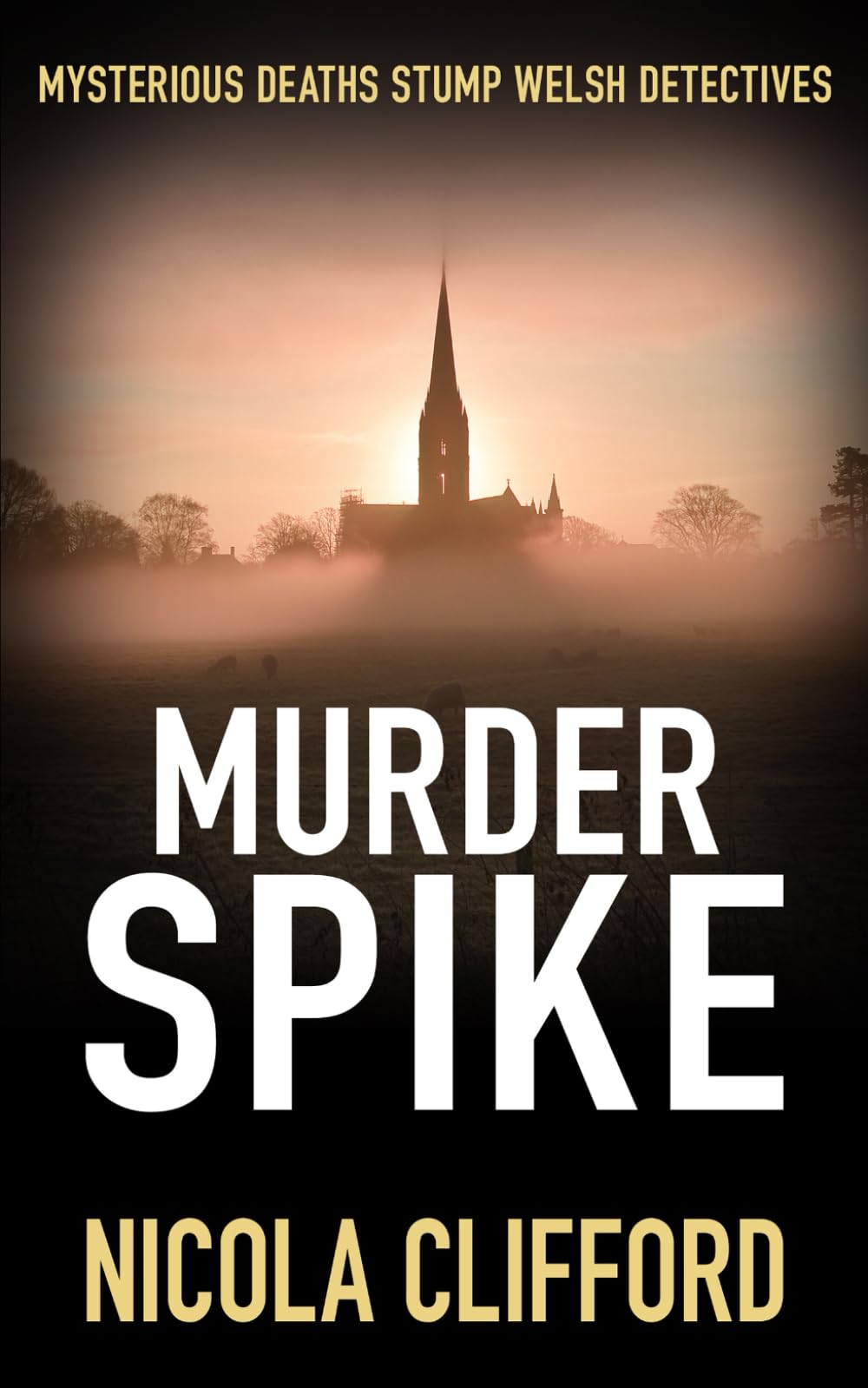 Murder Spike: Mysterious deaths stump Welsh detectives (The Welsh crime mysteries)