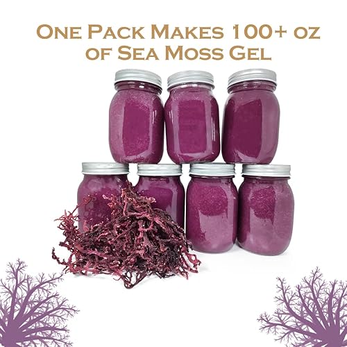 Miniatura 2 de Mossy Ocean Wildcrafted Purple Sea Moss 8oz  Real Saint Lucian Seamoss  Calidad premium  Hace más de 150 onzas de gel Seamoss  Fácil de usar
