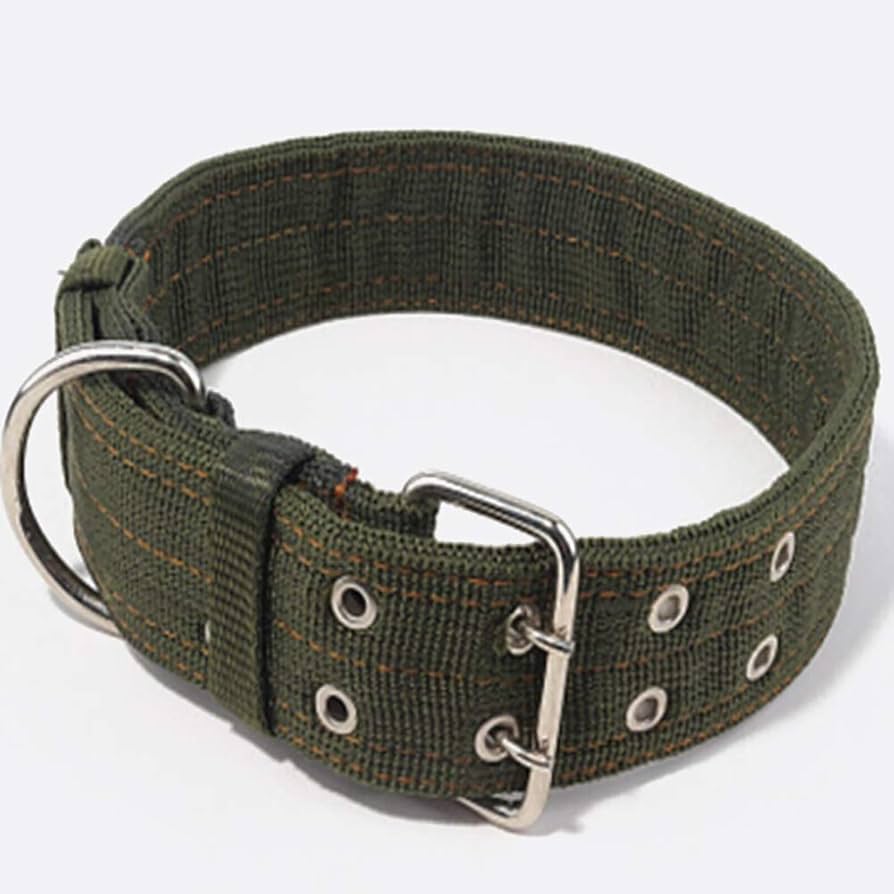 大型犬用　首輪・リードセットで★ASHBURY ★ゴールデンレトリバー h0399.jpg